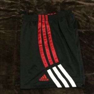 Adidas Climalite Shorts